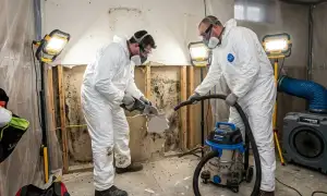 Mold remediation service in Warren, MI for water damage cleanup and home restoration
